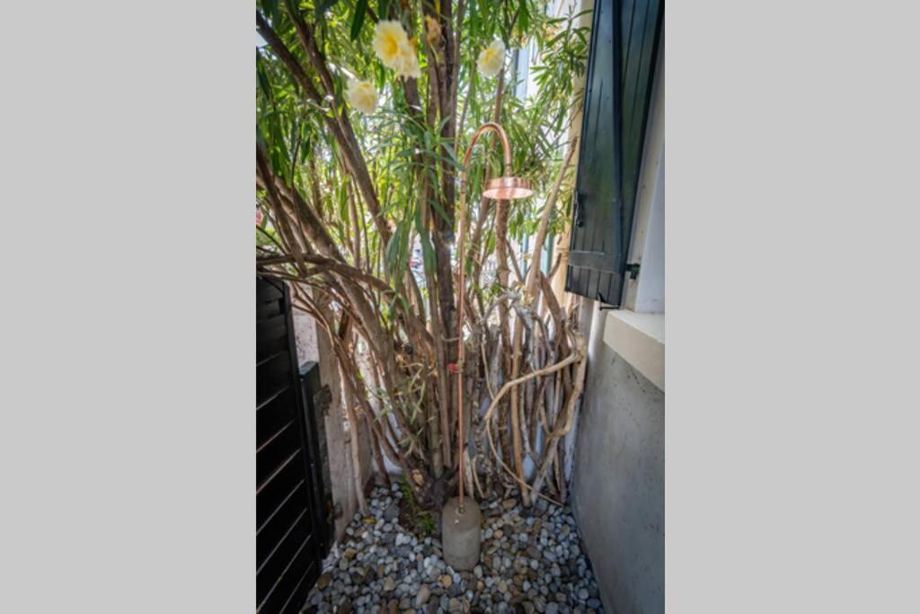 ביאריץ Cote Des Basques, Terrasse, Confort Et Qualite מראה חיצוני תמונה